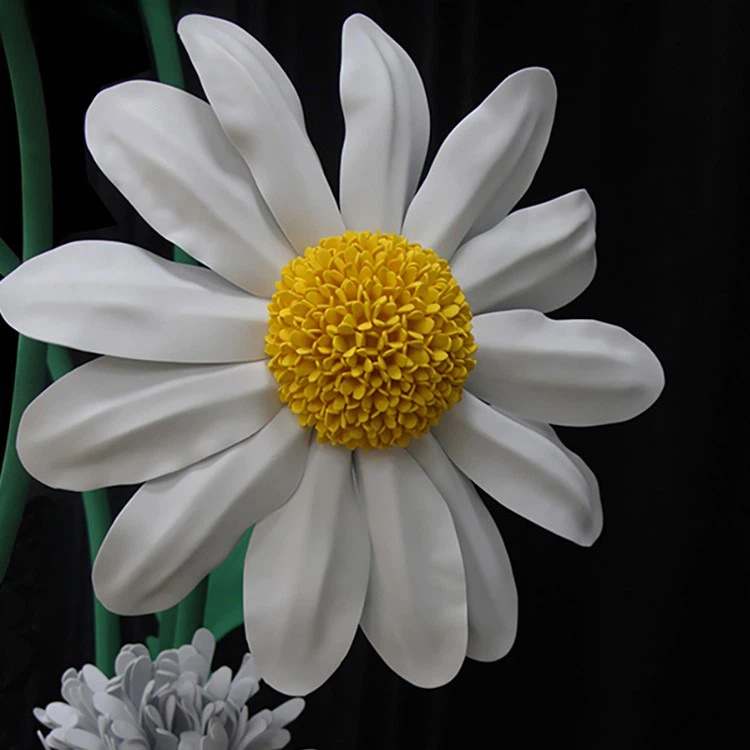 giant paper daisy flowers giant paper daisy flowers