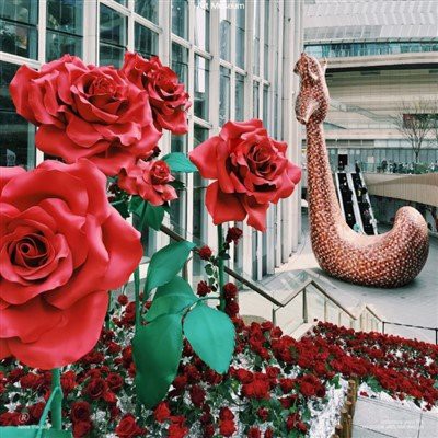 Flor de papel de San Valentín