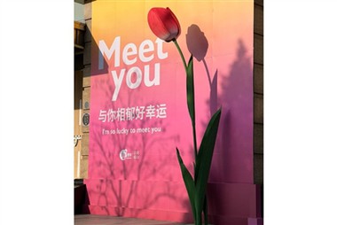 Flores de papel de gran tamaño